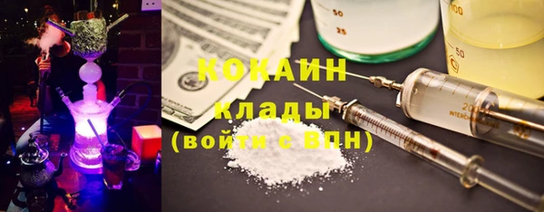 гашик Арсеньев