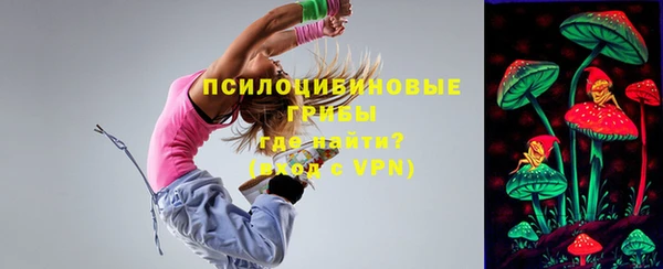 твердый Алзамай