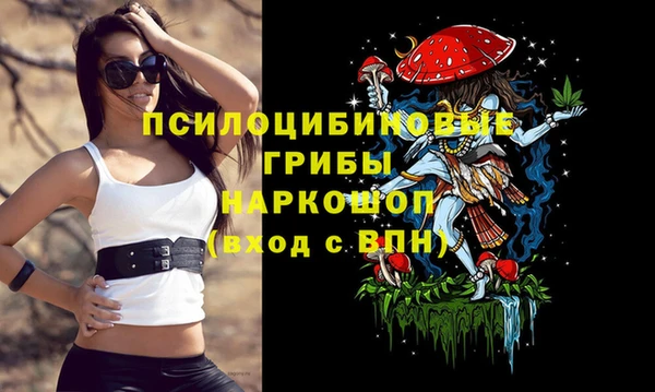 ALPHA PVP Алексин