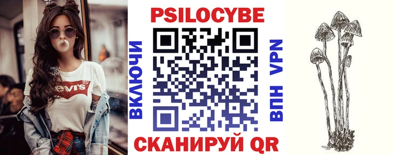 Купить где  Чехов  Галлюциногенные грибы Psilocybine cubensis 